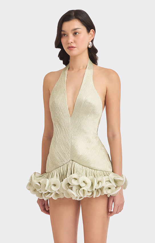 Ms. Tutu V Neck Mini Dress