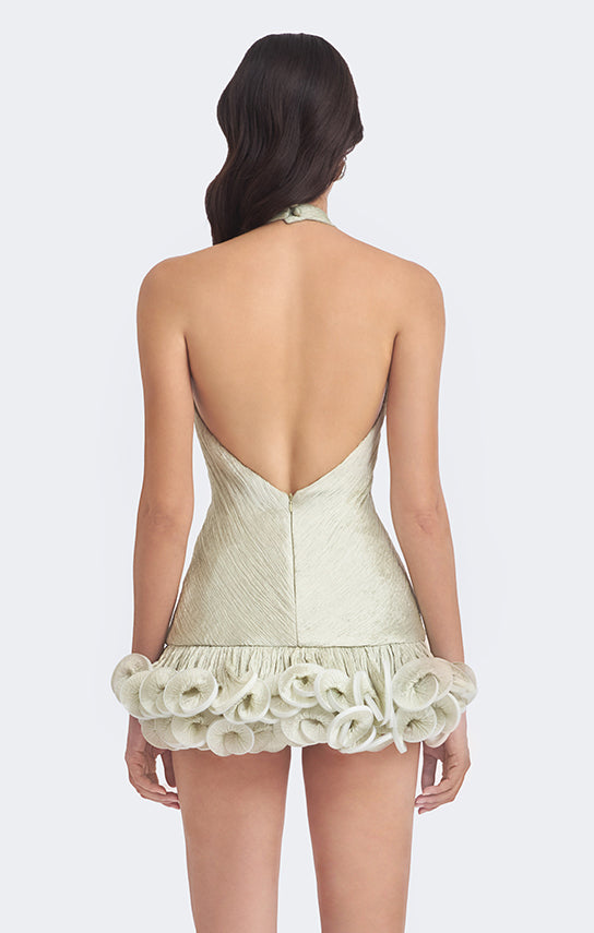 Ms. Tutu V Neck Mini Dress