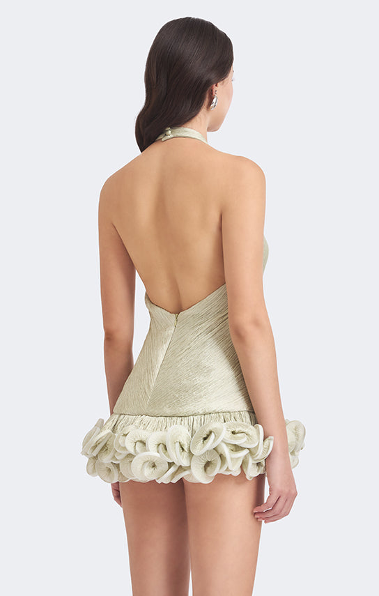 Ms. Tutu V Neck Mini Dress