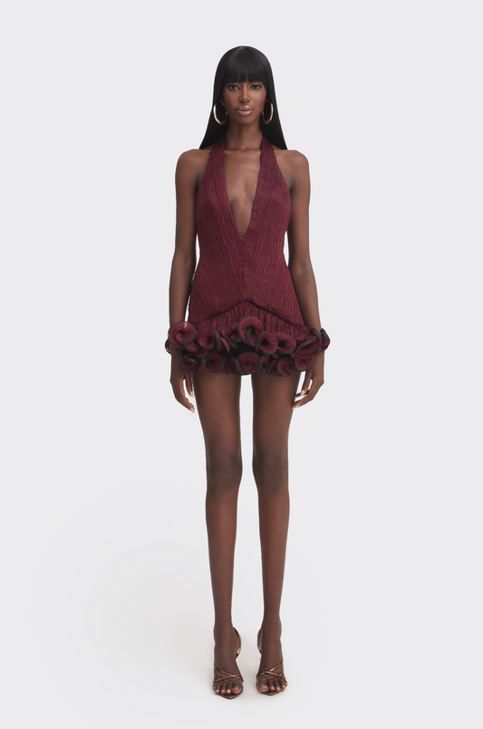 Ms. Tutu V Neck Mini Dress