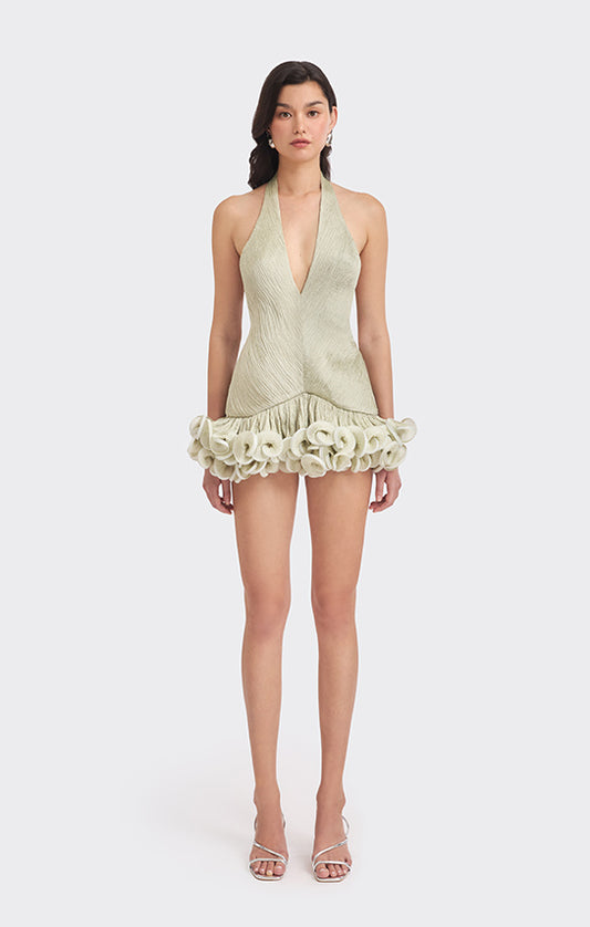 Ms. Tutu V Neck Mini Dress